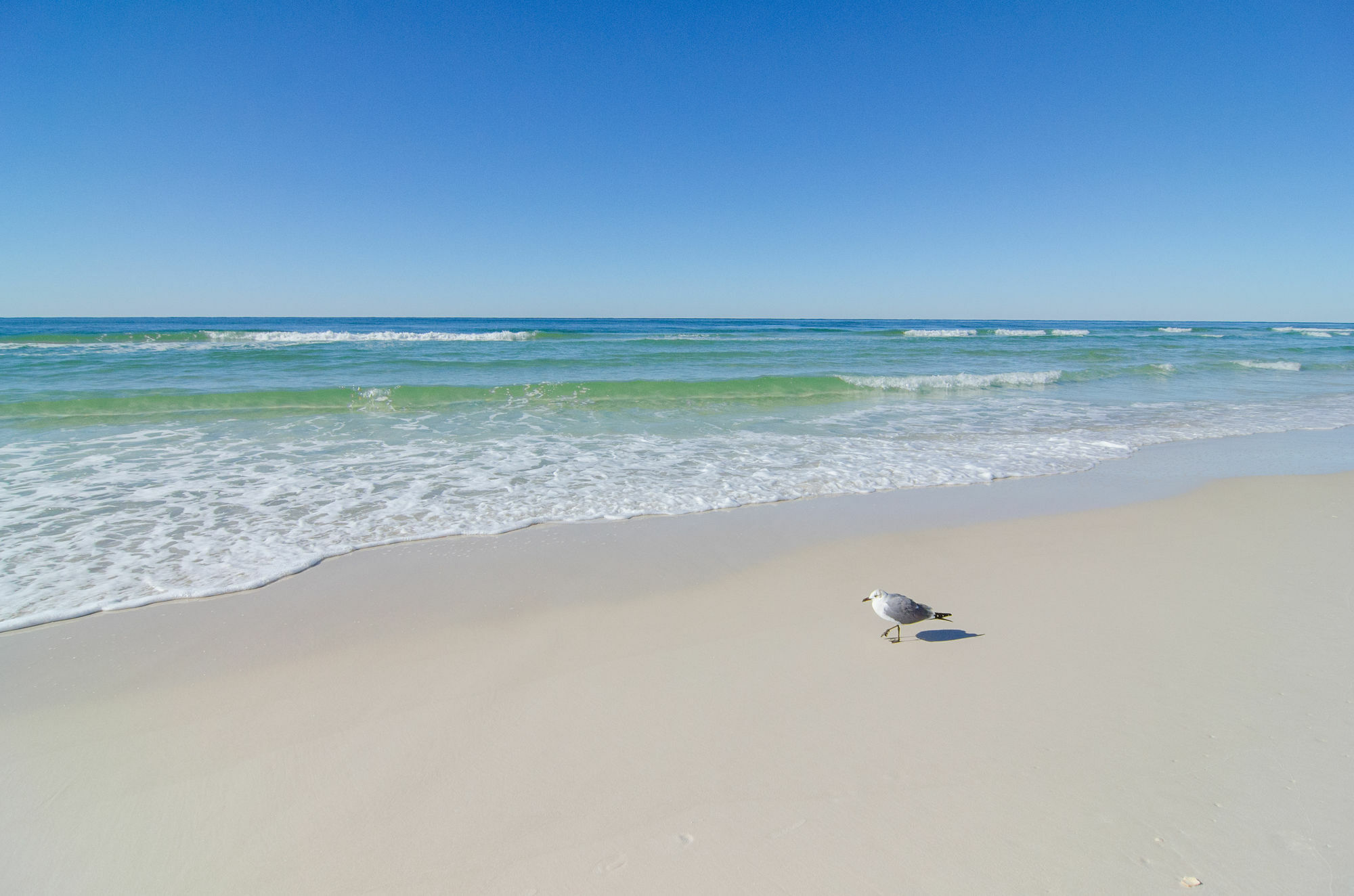 Sunswept By Panhandle Getaways Villa Panama City Beach Dış mekan fotoğraf